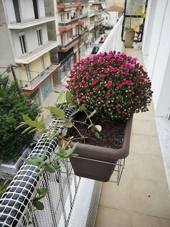 Alexandros Apartment Aridaia Exterior photo